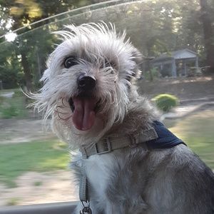 Meet your Posher, Hillary